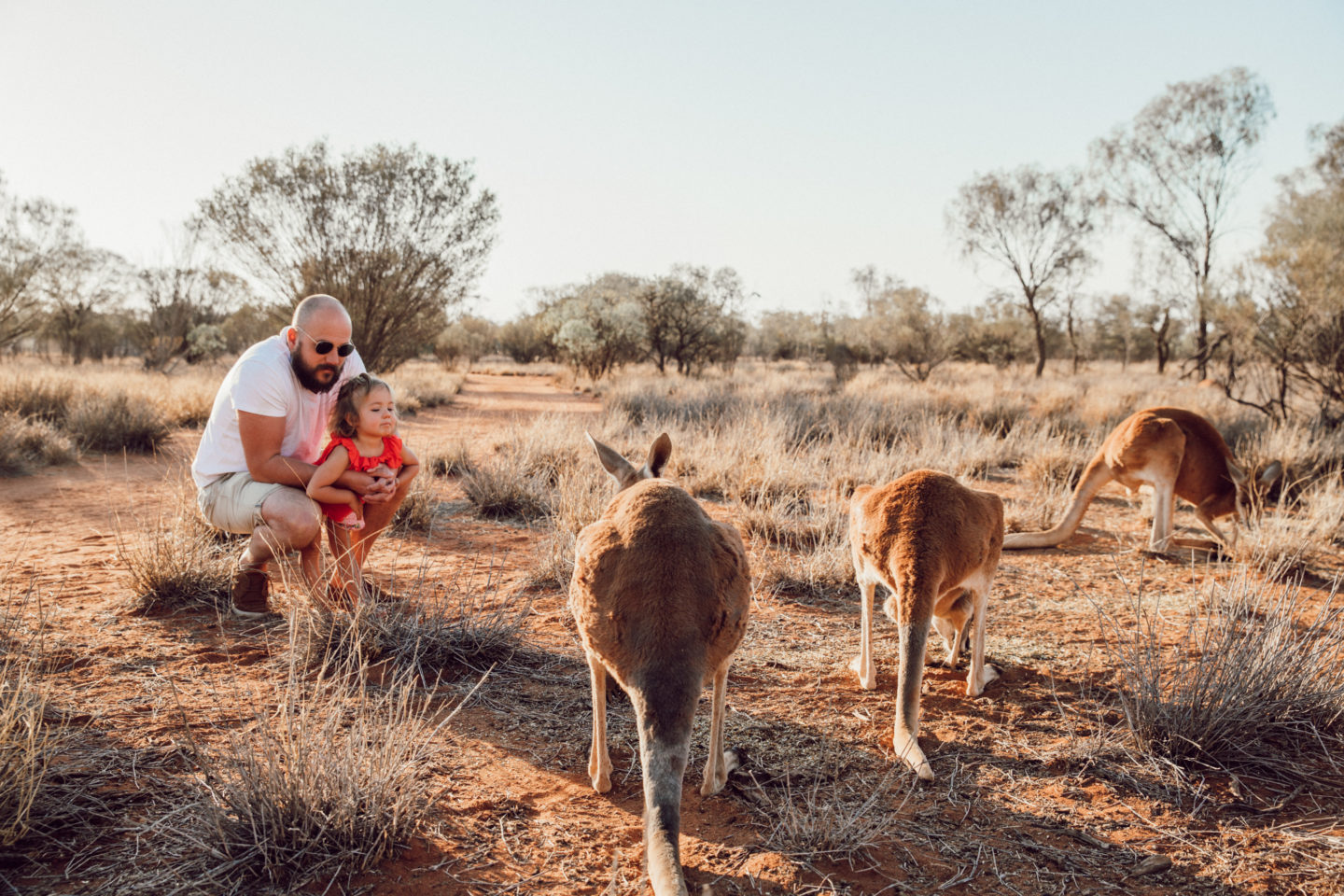 Our Must Do Things Around Alice Springs